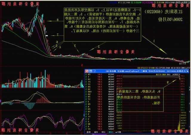 特斯拉的崛起之路，最新股票案例分析与挑战