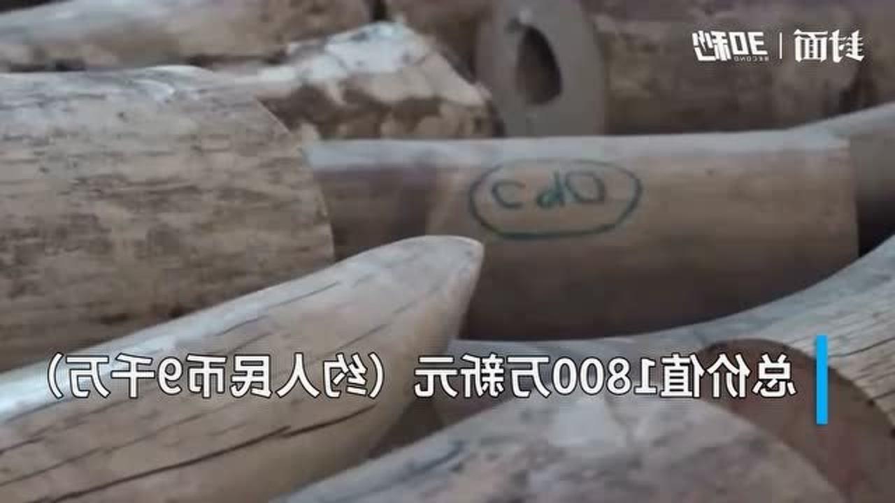 揭秘象牙市场，最新价格及影响因素解析（2016年）